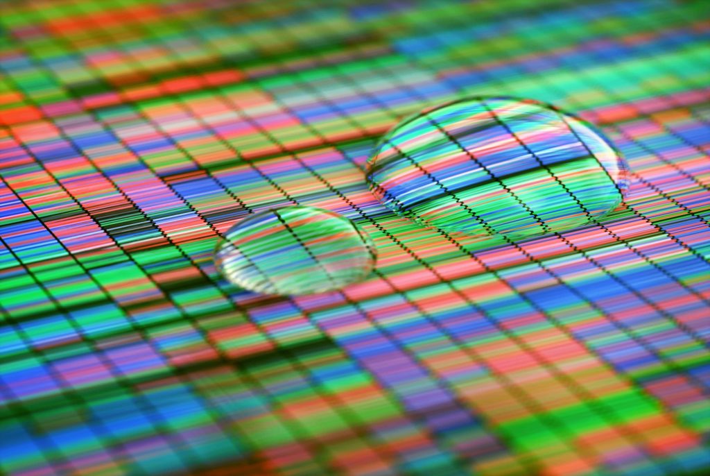self-quantifying whole genome what is it